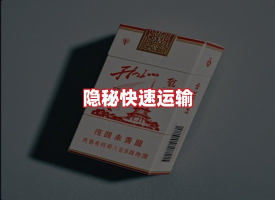 专业团队
